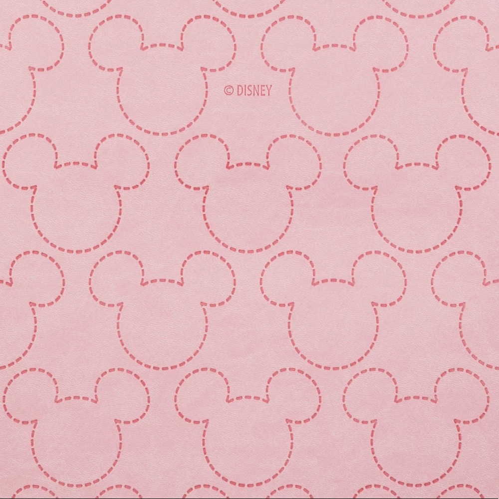 Mickey Mouse Icon File Organizer - Picture 3 of 7